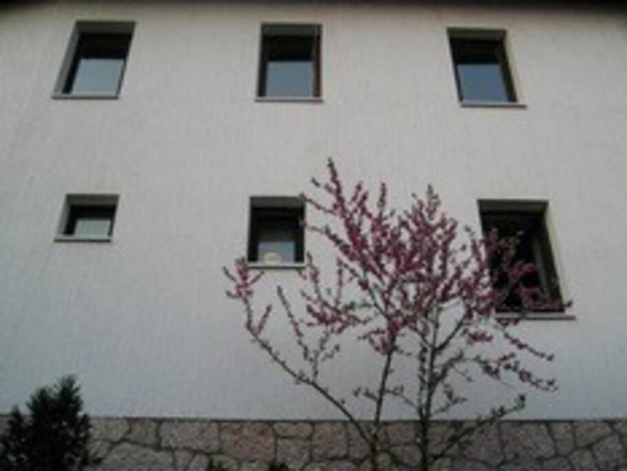 Apartment In Old Town - Top Location Szarajevó Kültér fotó